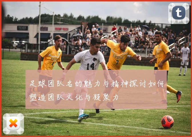 足球团队名的魅力与精神探讨如何塑造团队文化与凝聚力