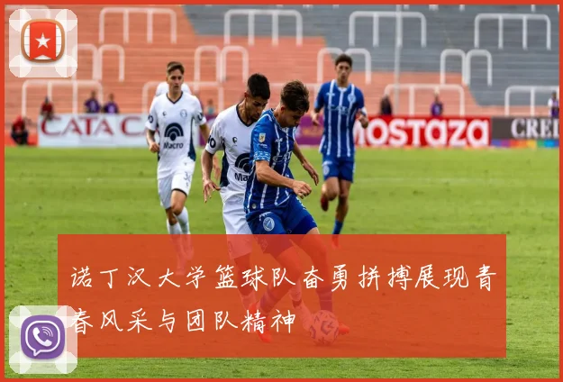 诺丁汉大学篮球队奋勇拼搏展现青春风采与团队精神