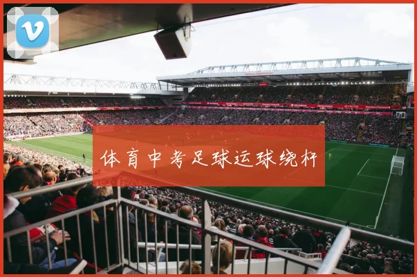 体育中考足球运球绕杆